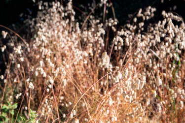 Underexposed and correctly exposed image for Nikon magazine's Why Shoot Raw article. Taken on a Z 6II and edited in Lightroom