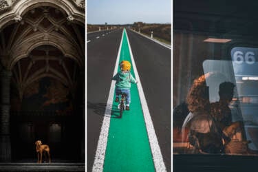 Photos for Nikon magazine