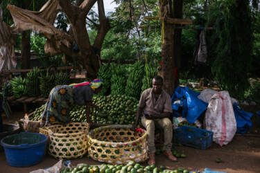 Nikon magazine - Nikon film and photo contest 2024-2025