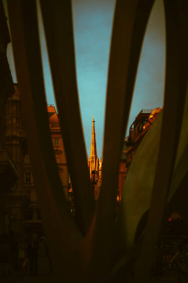 Nikon magazine presents The Set Up
