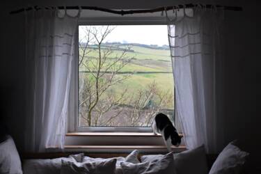 Nikon magazine - the NIKKOR Z DX MC 35mm f/1.7