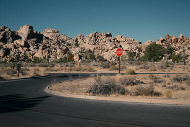 nikon-image
